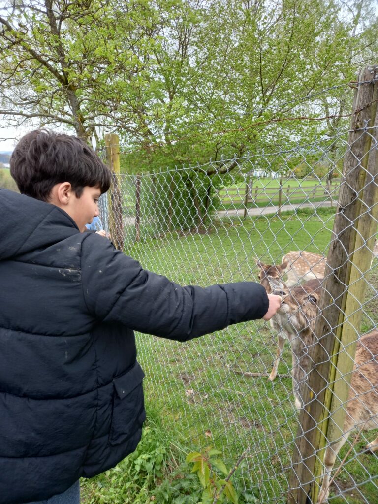 Klassenfahrt Quinkenhof 11