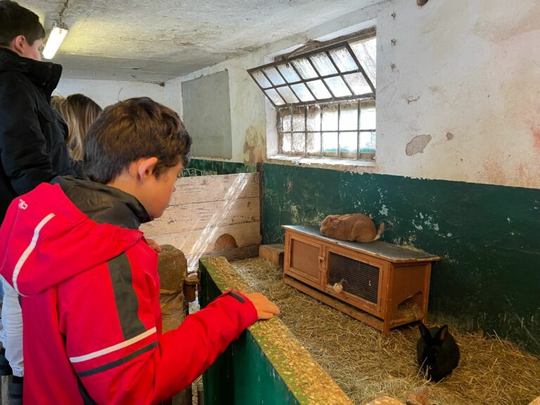 Klassenfahrt Quinkenhof 2