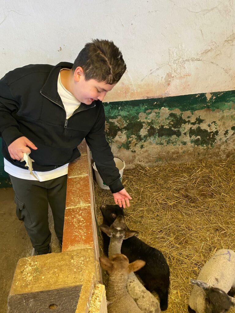 Klassenfahrt Quinkenhof 3