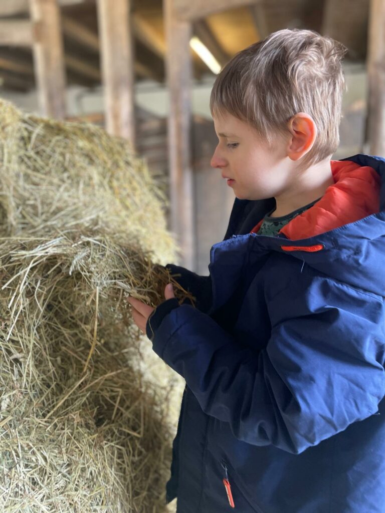 Klassenfahrt Quinkenhof 5