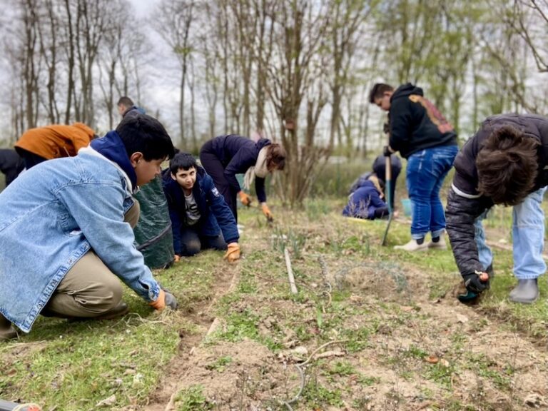 2025_Schulgarten_06F07164-4AB9-4DE2-8BB3-66686ED5378D_1_105_c