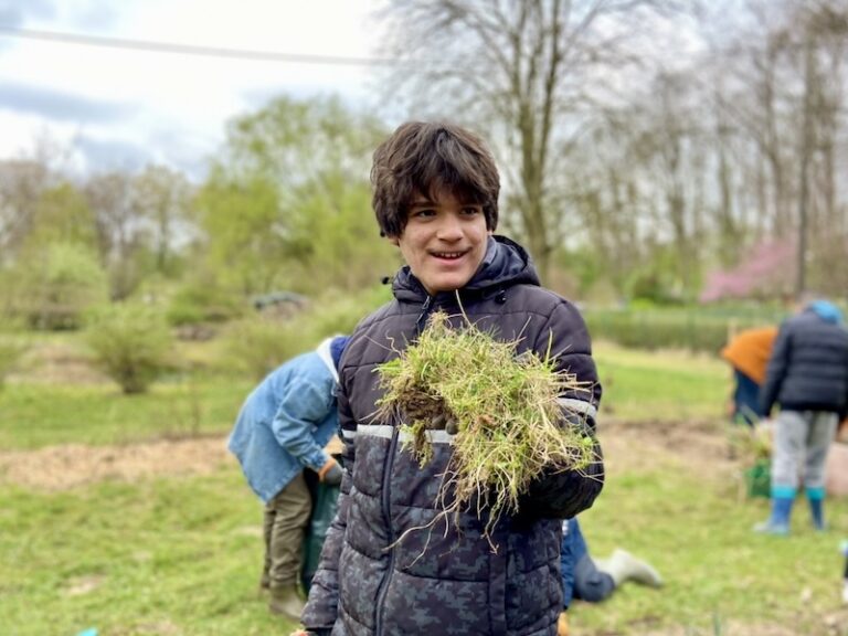 2025_Schulgarten_6E67B7EC-DCB0-49D2-BA4C-5A6B547FA61D_1_105_c