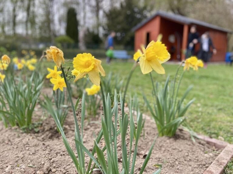 2025_Schulgarten_B11D85CC-3880-4E6F-82F9-C6CE83E55582_1_105_c